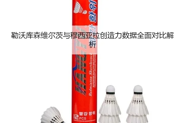 勒沃库森维尔茨与穆西亚拉创造力数据全面对比解析