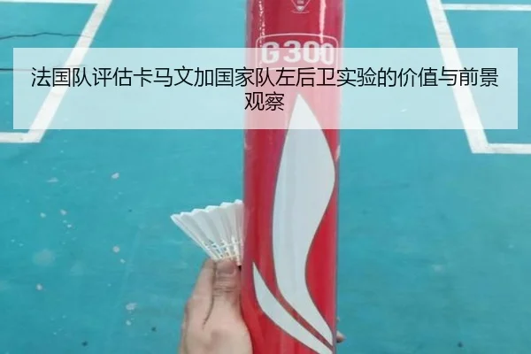 法国队评估卡马文加国家队左后卫实验的价值与前景观察